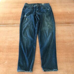 Level 99 Tanya High Rise Skinny Jeans Women 26 Blue Mid Rise Distressed Preppy